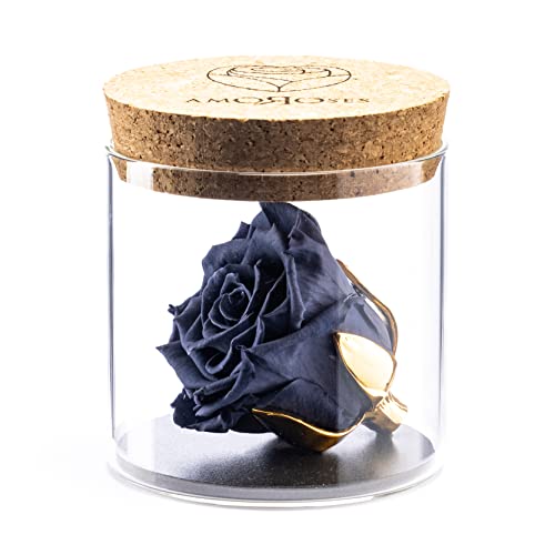Amoroses Bijou - Ewige stabilisierte Rose mit 24 Karat vergoldetem Kelch im Glasgefäß | Geschenkidee (Rose Perlgrau) von Amoroses