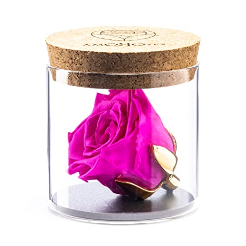 Amoroses Bijou - Ewige stabilisierte Rose mit 24 Karat vergoldetem Kelch im Glasgefäß | Geschenkidee (Rose Rosa Shocking) von Amoroses