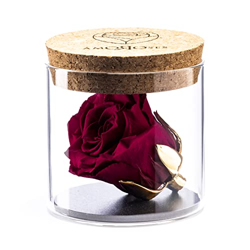 Amoroses Bijou - Ewige stabilisierte Rose mit 24 Karat vergoldetem Kelch im Glasgefäß | Geschenkidee (Rose Rubinrot) von Amoroses