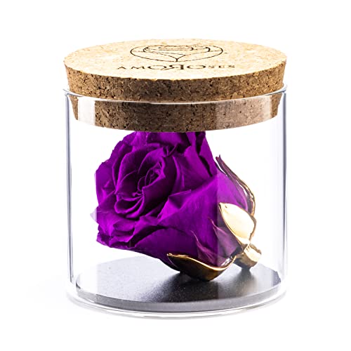 Amoroses Bijou - Ewige stabilisierte Rose mit 24 Karat vergoldetem Kelch im Glasgefäß | Geschenkidee (Rose Viola) von Amoroses