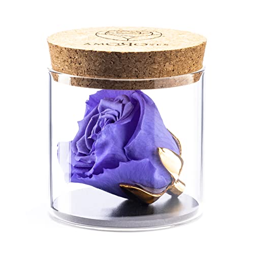Amoroses Bijou - Ewige stabilisierte Rose mit 24 Karat vergoldetem Kelch im Glasgefäß | Geschenkidee (Rose Violett) von Amoroses
