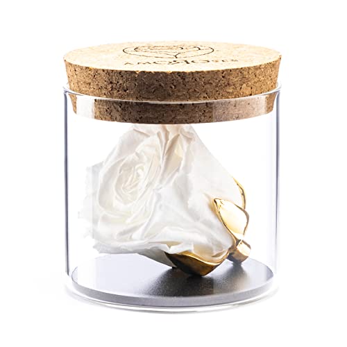 Amoroses Bijou - Ewige stabilisierte Rose mit 24 Karat vergoldetem Kelch im Glasgefäß | Geschenkidee (Rose Weiß) von Amoroses