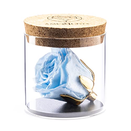 Amoroses Bijou - Ewige stabilisierte Rose mit 24 Karat vergoldetem Kelch im Glasgefäß | Geschenkidee Baby Taufe Junge (Rose Himmelblau) von Amoroses