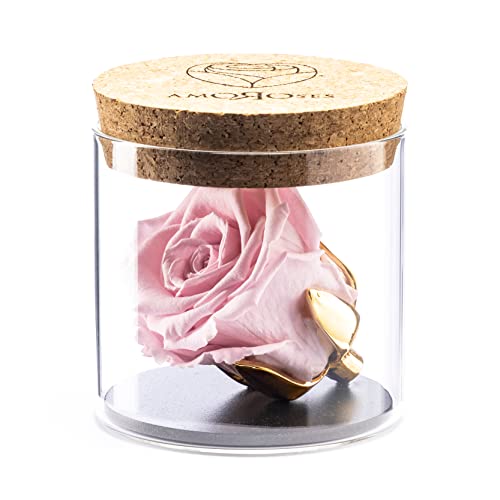 Amoroses Bijou - Ewige stabilisierte Rose mit 24 Karat vergoldetem Kelch im Glasgefäß | Geschenkidee Mädchen Taufe Baby (Rose Rosa) von Amoroses