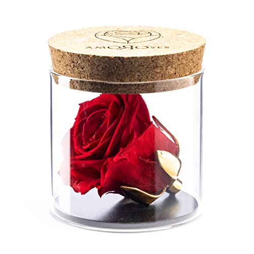 Amoroses Bijou - Ewige stabilisierte Rose mit 24 Karat vergoldetem Kelch im Glasgefäß | Geschenkidee (Rose Rot) von Amoroses