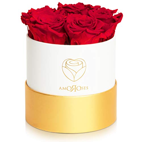 Amoroses Petite - Geschenkbox 5 ewige stabilisierte Rosen - Eleganter Strauß echter Blumen | Geschenkidee (Petite Weiße Schachtel mit Roten Rosen) von Amoroses