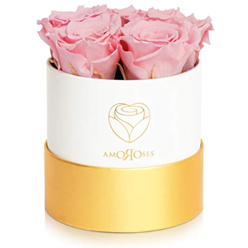 Amoroses Petite - Geschenkbox 5 ewige stabilisierte Rosen - Eleganter Strauß echter Blumen | Muttertag (Weiße Schachtel mit Rosa Rosen) von Amoroses