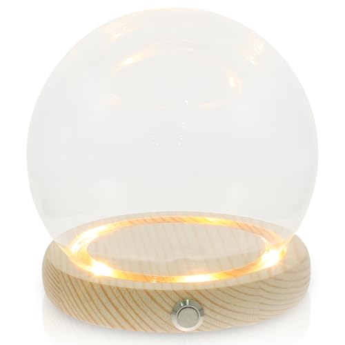 Amosfun 1 Satz Hand Glas Abdeckung Mini-globen Glaskugel-cloche Desktop-glaskuppel Glaskuppel in Kugelform Glaskuppelglas Led-vitrine Staubschutzhaube Kleinkind Glockenförmig Holz Amosfun 1 Satz Hand Glas Abdeckung Mini-globen Glaskugel-cloche Desktop-glaskuppel Glaskuppel in Kugelform Glaskuppelglas Led-vitrine Staubschutzhaube Kleinkind Glockenförmig Holz von Amosfun