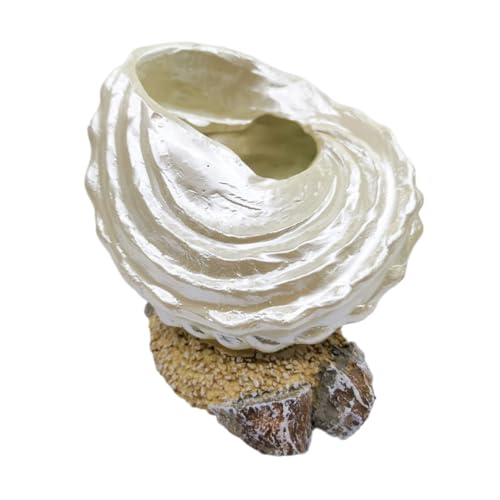 Amosfun 1stk Simulation Perlenschnecke Blumentopf Im Freien Gartentöpfe Im Freien Muschelschalen-Statue Blumentopf Für Den Innenbereich Heimzubehör Tier Kind Harz Spielzeugset Modellieren Amosfun 1stk Simulation Perlenschnecke Blumentopf Im Freien Gartentöpfe Im Freien Muschelschalen-Statue Blumentopf Für Den Innenbereich Heimzubehör Tier Kind Harz Spielzeugset Modellieren von Amosfun