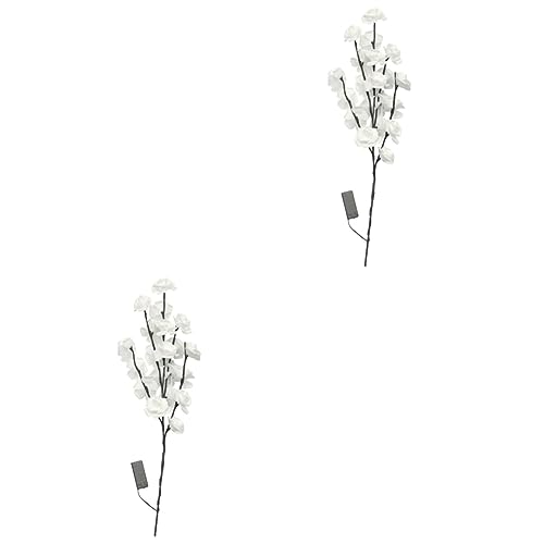 Amosfun 2 Stück Konservierte Blumen Lichtgeschenke Für Frauen Zweiglichter Zweige Romantisches Geschenk LED Nachtlicht Rosenlicht Nacht Rustikales Rosenlicht Rosen LED Lichter von Amosfun
