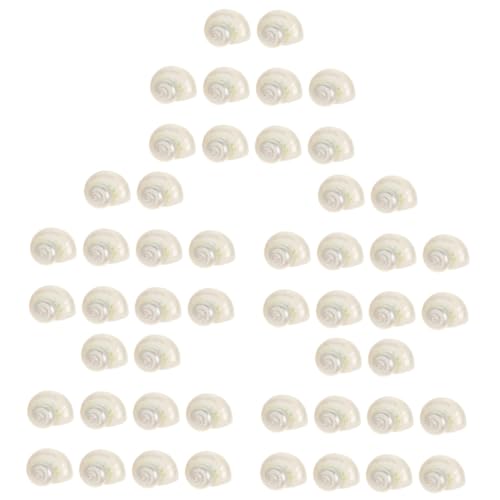 Amosfun 5 Sätze Aquarium Muschel Muschelschalen Einsiedler Muschel-Ornament-Muschel Aquarium Dekoration Schneckenhäuser Für Aquarium Natur-Muschel- Dekorative Schale Weiß 10 Stück * 5 Amosfun 5 Sätze Aquarium Muschel Muschelschalen Einsiedler Muschel-Ornament-Muschel Aquarium Dekoration Schneckenhäuser Für Aquarium Natur-Muschel- Dekorative Schale Weiß 10 Stück * 5 von Amosfun