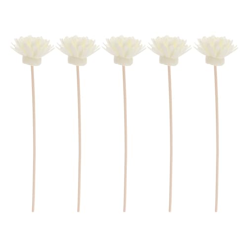 Amosfun Set Mit 5 Rattanstäbchen Mit Chrysanthemenduft Natürlicher Diffusor Für Zuhause 3 Mm Rattan 20 cm Hoch Amosfun Set Mit 5 Rattanstäbchen Mit Chrysanthemenduft Natürlicher Diffusor Für Zuhause 3 Mm Rattan 20 cm Hoch von Amosfun