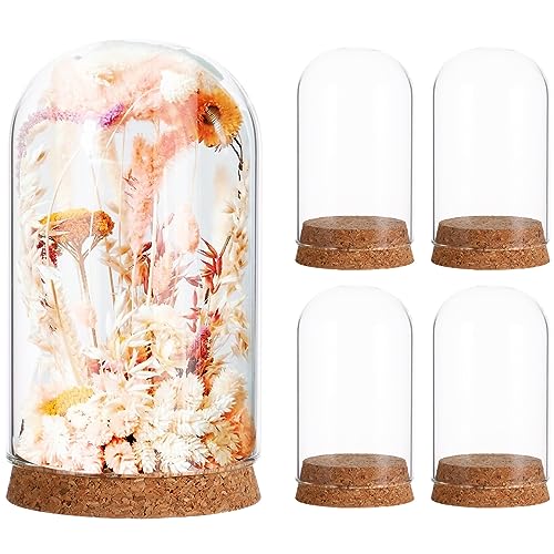 Amosfun 5Pcs Glas Cloche Display Dome mit Kork Deckel Erhalten Glas Blume Abdeckung Glas Terrarium Dekorative Schaufenster für Konservierte Blume von Amosfun