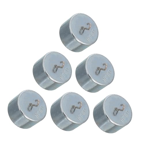Amosfun 6 Stück Teiliges Kalibriergewichtsset mit Doppelhaken Präzisionsgewichte für Laborphysik Wissenschaftliche Experimente und Bildung zur Exakten Eichung und Genauen Messung von Amosfun