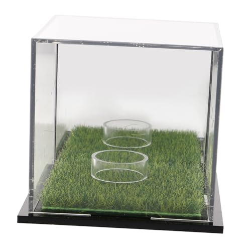 Amosfun Golfball Display Box aus Transparenter Golfball Halter für Erinnerungsstücke und Platzsparend für Schreibtisch Regal und Vitrine von Amosfun