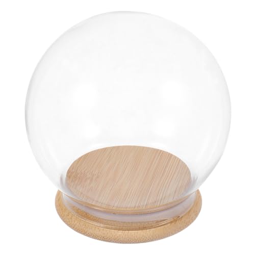 Amosfun Klarglas-glockenglocke Mit Holzsockel, DIY-schneekugel, Andenken-vitrine, Terrarium Für Konservierte Pflanzen, Sukkulenten, Basteln, 13 cm Amosfun Klarglas-glockenglocke Mit Holzsockel, DIY-schneekugel, Andenken-vitrine, Terrarium Für Konservierte Pflanzen, Sukkulenten, Basteln, 13 cm von Amosfun