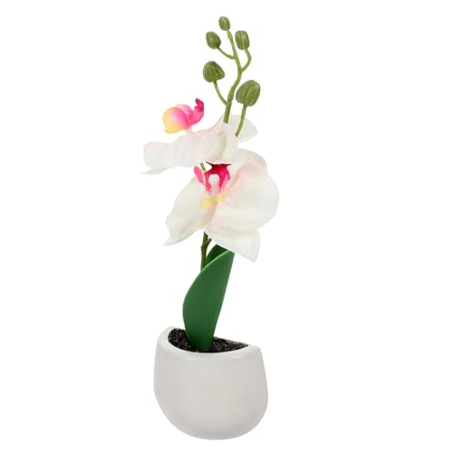 Amosfun Kühlschrankmagnete Mit Bonsai-Motiven Pflanzenmagnete Für Kühlschrankdekoration Schmetterlings-orchideen-Design von Amosfun