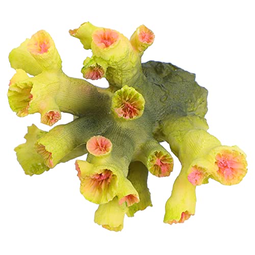 Amosfun Künstliche Korallen Dekoration für Aquarium Simulation Koralle für Kleine Aquarien Verbessert die Anziehungskraft und Sorgt für bei Fischen Amosfun Künstliche Korallen Dekoration für Aquarium Simulation Koralle für Kleine Aquarien Verbessert die Anziehungskraft und Sorgt für bei Fischen von Amosfun