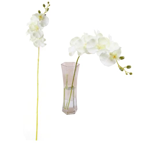 Amosfun Künstliche Orchideen Blumenstrauß Aus Seidenstoff Und Kunststoff Realistische Dekoblüten Für Hochzeit Zuhause Büro Party-Dekoration Weiß von Amosfun