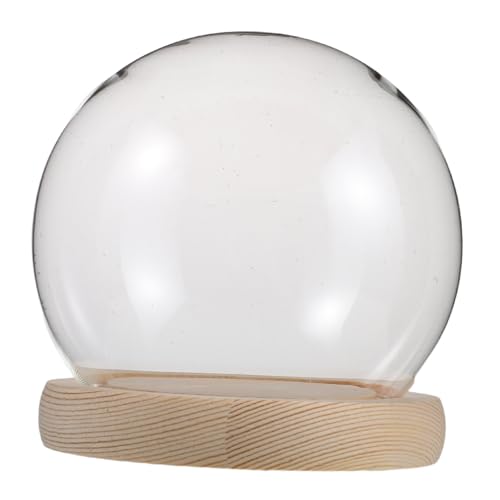 Amosfun Runder Glasdome mit Abdeckung Transparentes Display für Ewige Blumen und Miniaturfiguren Tischornament mit Holzsockel Φcm von Amosfun