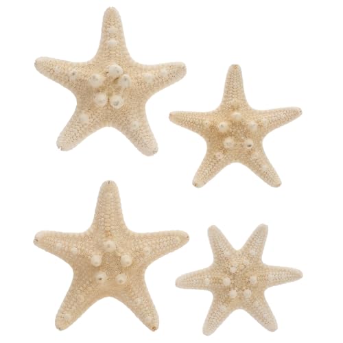 Seesterne Natürliche Echte Deko Seestern Micro Landschaft Aquarium Ornament Hochzeit Deko 5-8cm 4 Stück von Amosfun