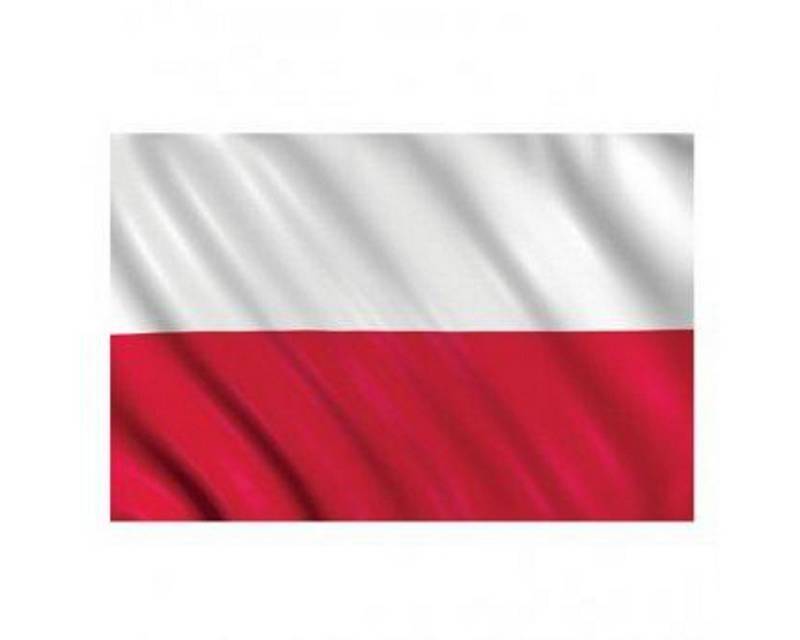 Amscan Hängedekoration Fahne Polen 90 x 150 Amscan Hängedekoration Fahne Polen 90 x 150 von Amscan