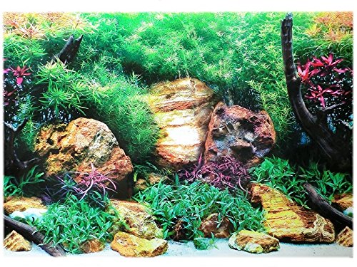 Amtra Croci Rückwandfolie 150 cm x 60 cm Aquarien Rückwand Hintergrund Dekoration Poster von Amtra Croci