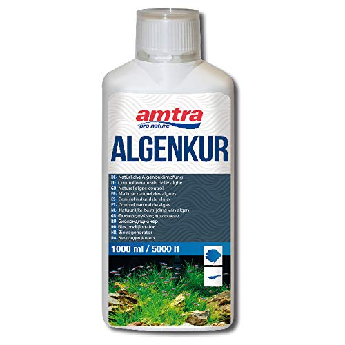 Amtra Algen-Kur – Algenbekämpfung für Süßwasseraquarien, Aquariumflüssigkeit, natürliche Algenbekämpfung in Süßwasseraquarien, 1000 ml von Amtra