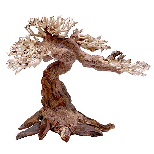 Amtra - Oriental Wind 5 Holz, handgefertigt, für Aquarien, 25x10x18 cm, Small von Amtra