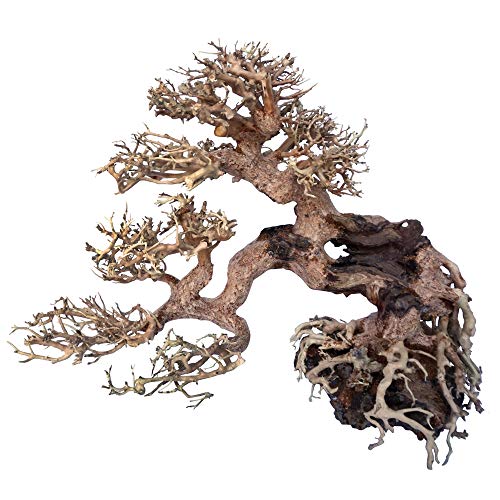 Amtra - Oriental Wind 7 Holz, handgefertigt, für Aquarien, 30X13X23 cm von Amtra