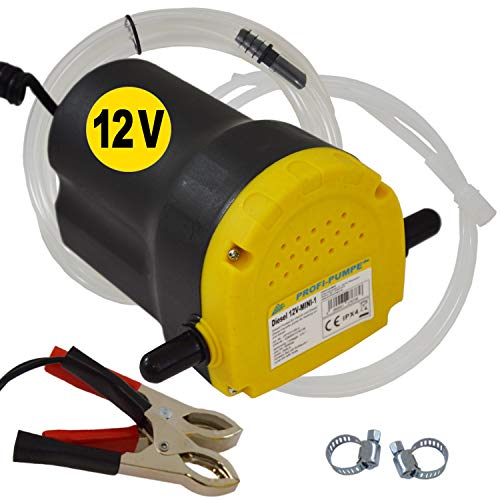 12V DIESELPUMPE HEIZÖLPUMPE ÖLPUMPE Biodiesel ÖLABSAUGPUMPE ABSAUGPUMPE DIESELPUMPE 12V -MINI-1, Tülle und Schelle, ELEKTRISCHE DIESELPUMPE mit Schlauch für DIESEL und HEIZÖL für PKW MOTORRAD von Amur