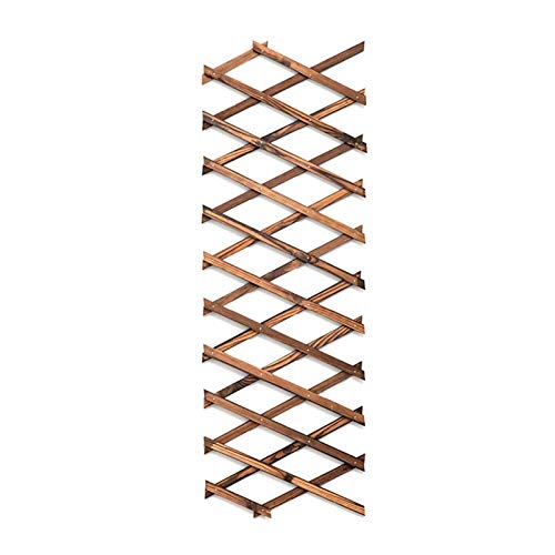 Holzspalier Rahmen Dekoration Outdoor Garten Pflanze Klettern Ausziehbar Zaun Holz Spalier 150 x 37 cm, 0,7 cm dick von Amusingtao