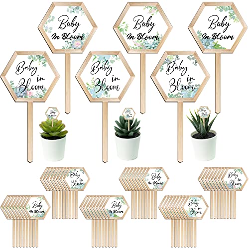 48 Stück Baby in Bloom Sukkulenten Tags Babyparty Sechseck Holz Pflanzenstecker Etikett Garten Marker Pflanzenschild für Babyparty Pflanzenstecker Etiketten Geschenk Sukkulenten Pflanzenmarker von Amyhill