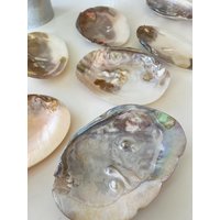 Perlmuttschale Mit Und Ohne Perlen Perlmuttschale Mit Und Ohne Perlen von AmysAllerleiLaden