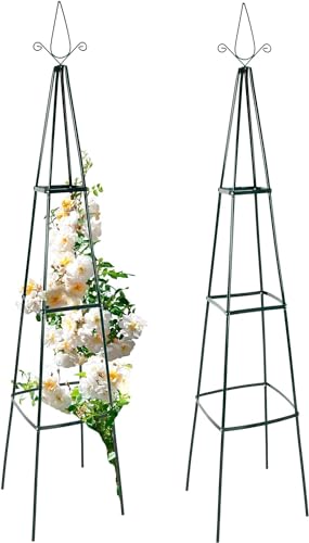 anaterra® Rosenbogen - Set, 2 Stück, Freistehend, Stabil, Metall, Grün - Rankhilfe, Gartenbogen, Rankbogen, Rosenhilfe, Rosen Torbogen, Rankgitter für Hochzeit, Garten, Balkon (Rosenpyramide, 13mm) von Anaterra