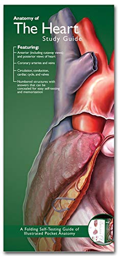 Anatomical Chart Company's Illustrated Pocket Anatomy: Anatomy of the Heart Study Guide von Acc