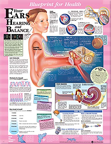 Blueprint for Health Your Ears Chart von Anatomical Chart