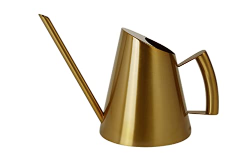 Anawakia Gießkanne Edelstahl Langer Mund Giesskanne Gold Metall Klein Blumengießkanne Wasserkanne für Zimmerpflanzen Hängepflanzen Blume (900ML,Gold) von Anawakia