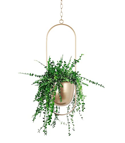 Anawakia Hängender Blumentopf Metall Hängend Blumenampel Hängende Blumenampel Metall Dekorationstopf Decke hängender Übertopf Pflanzkorb (Gold Oval) von Anawakia