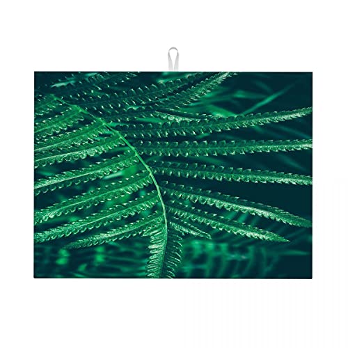 Abtropfmatte mit tropischen Pflanzen, grün, XL-Blätter, Abtropfmatte für die Küche, Trockenmatte, weich, klein, 40,6 x 45,7 cm Abtropfmatte mit tropischen Pflanzen, grün, XL-Blätter, Abtropfmatte für die Küche, Trockenmatte, weich, klein, 40,6 x 45,7 cm von Anceky