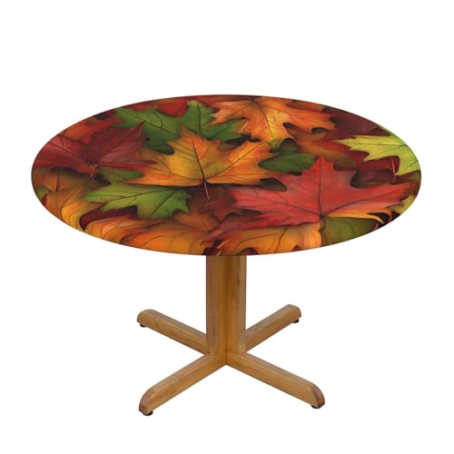 Tischdecke mit Herbstblättern und elastischem Rand, Dehnbare Tischdecke mit Herbstblättern für 40-44 Zoll große Tische, wasserdichter Schutz für Essenspartys im Innen- und Auße Tischdecke mit Herbstblättern und elastischem Rand, Dehnbare Tischdecke mit Herbstblättern für 40-44 Zoll große Tische, wasserdichter Schutz für Essenspartys im Innen- und Auße von Anceky
