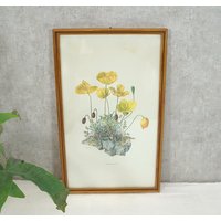 Blumenbild "Gelber Mohn' - Kunstdruck Von 1956 Hinter Glas Gerahmt von AnciennesValeurs