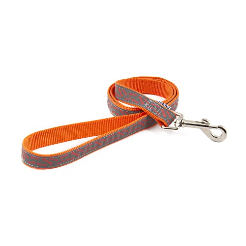 Ancol Patterned Collection Hundeleine, Knochen, 1 m x 19 mm, Orange von Ancol