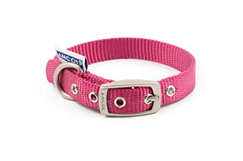 Ancol Heritage Hundehalsband, Nylon, X-Small, Raspberry von Ancol