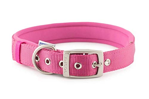 Ancol Heritage Hundehalsband Nylon, gepolstert, X-Large, Raspberry von Ancol