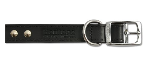 Ancol Nietenhalsband aus Leder, schwarz, 39-48 cm, Größe 5 von Ancol