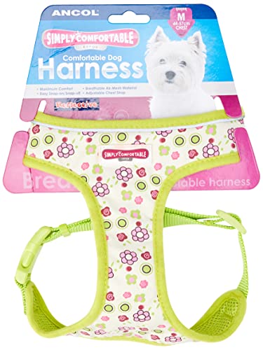 Ancol Limettenblumen-Hundegeschirr, Nylonriemen, verstellbare Schnallen, Schnellklickverschluss, bequem, atmungsaktiv, weich gepolstert, Haustier-Trainingszubehör, Größe M, 44-57 cm Ancol Limettenblumen-Hundegeschirr, Nylonriemen, verstellbare Schnallen, Schnellklickverschluss, bequem, atmungsaktiv, weich gepolstert, Haustier-Trainingszubehör, Größe M, 44-57 cm von Ancol