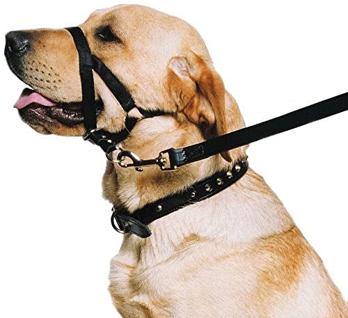 Ancol Hunde-Trainingshalfter, Halsband von Ancol