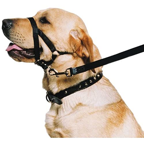 Ancol Hunde-Trainingshalfter, Halsband von Ancol