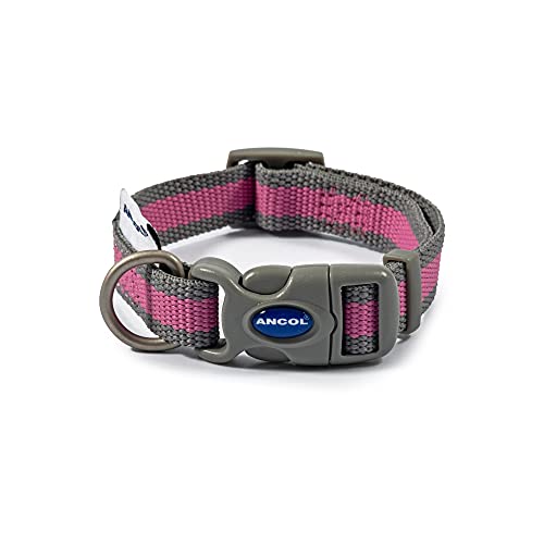 Ancol Hundehalsband, Pink / Grau Gr. 1-2 (Halsumfang 20-30 cm) von Ancol
